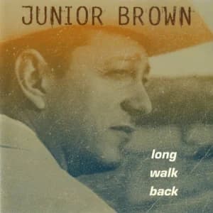 Long Walk Back album cover
