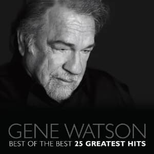 Best Of The Best - 25 Greatest Hits album cover