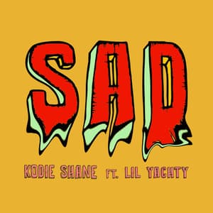 Sad album cover