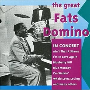 Great Fats Domino In Concert album cover
