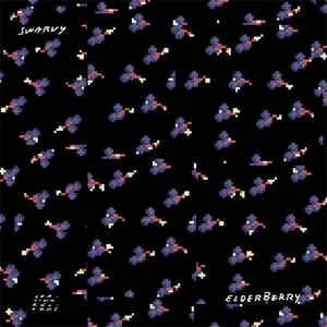 Elderberry album cover