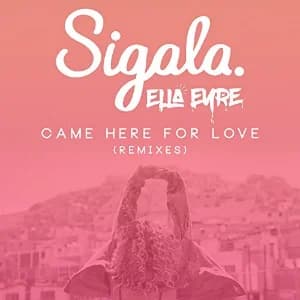 Came Here for Love album cover