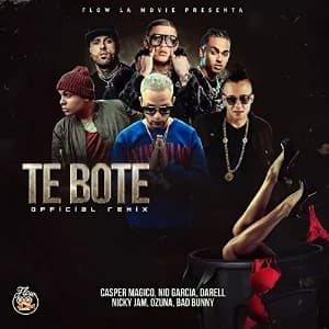 Te Boté album cover
