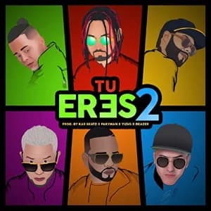 Tu Eres 2 album cover