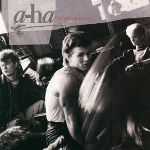 Hunting High And Low album cover