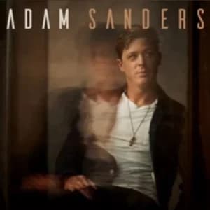 Over Did It album cover
