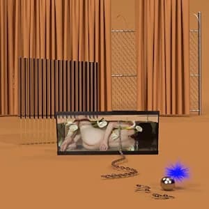 Basic Behaviour album cover